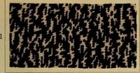 An illustration from Die Biezenfarbstoffe der Fabriken vorm. Friedr. Bayer & Co., Elberfeld, auf dem Gebiet der Fruckerei und Färberei (1901)