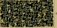An illustration from Die Biezenfarbstoffe der Fabriken vorm. Friedr. Bayer & Co., Elberfeld, auf dem Gebiet der Fruckerei und Färberei (1901)