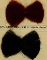 Picture 215 of 239 from Die Biezenfarbstoffe der Fabriken vorm. Friedr. Bayer & Co., Elberfeld, auf dem Gebiet der Fruckerei und Färberei (1901), leaf 315