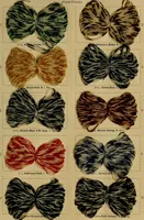 An illustration from Die Biezenfarbstoffe der Fabriken vorm. Friedr. Bayer & Co., Elberfeld, auf dem Gebiet der Fruckerei und Färberei (1901)