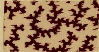 An illustration from Die Biezenfarbstoffe der Fabriken vorm. Friedr. Bayer & Co., Elberfeld, auf dem Gebiet der Fruckerei und Färberei (1901)