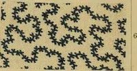 An illustration from Die Biezenfarbstoffe der Fabriken vorm. Friedr. Bayer & Co., Elberfeld, auf dem Gebiet der Fruckerei und Färberei (1901)