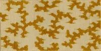 An illustration from Die Biezenfarbstoffe der Fabriken vorm. Friedr. Bayer & Co., Elberfeld, auf dem Gebiet der Fruckerei und Färberei (1901)