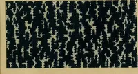 An illustration from Die Biezenfarbstoffe der Fabriken vorm. Friedr. Bayer & Co., Elberfeld, auf dem Gebiet der Fruckerei und Färberei (1901)