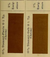 An illustration from Die Biezenfarbstoffe der Fabriken vorm. Friedr. Bayer & Co., Elberfeld, auf dem Gebiet der Fruckerei und Färberei (1901)