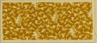 An illustration from Die Biezenfarbstoffe der Fabriken vorm. Friedr. Bayer & Co., Elberfeld, auf dem Gebiet der Fruckerei und Färberei (1901)