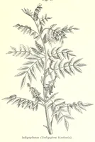 An illustration from Die Chemie des Steinkohlentheers mit besonderer berücksichtigung der künstlichen organischen Farbstoffe (1900)
