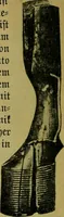 An illustration from Die dekorative kunst des altertums; eine populäre darstellung (1914)