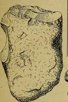 An illustration from Die dekorative kunst des altertums; eine populäre darstellung (1914)