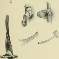 An illustration from Die dynamische Empfindung in der angewandten Kunst : Ein Beitrag zur künstlerischen Gestaltung der Technik (1917)