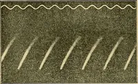 Picture 39 of 120 from Die Einrichtungen zur Erzeugung der Roentgenstrahlen (1903), leaf 91