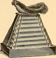 Picture 78 of 95 from Die Einrichtungen zur Erzeugung der Roentgenstrahlen und ihr Gebrauch : gemeinfasslich dargestellt insbesondere auch für Ärzte und Kliniken (1899), leaf 123
