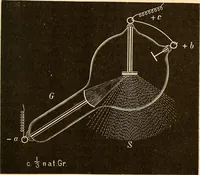 Picture 52 of 95 from Die Einrichtungen zur Erzeugung der Roentgenstrahlen und ihr Gebrauch : gemeinfasslich dargestellt insbesondere auch für Ärzte und Kliniken (1899), leaf 91