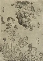Picture 21 of 208 from Die entwicklung der modernen buchkunst in Deutschland; (1901), leaf 43