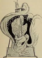 Picture 35 of 208 from Die entwicklung der modernen buchkunst in Deutschland; (1901), leaf 55