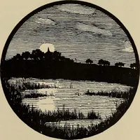 Picture 71 of 208 from Die entwicklung der modernen buchkunst in Deutschland; (1901), leaf 89