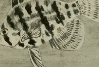 An illustration from Die exotischen zierfische in wort und bild (1914)