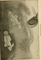 An illustration from Die exotischen zierfische in wort und bild (1914)