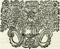 An illustration from Die Fackel des Prometheus : künstliches Lust-Feuer, als beede kayserliche Mayestätten Leopold und Eleonora Magdalena Theresia, nach dero zu Passau gehaltenem hochzeitlichen Beylager zu Wienn eingezogen, vor dem Burg-Thor gehalten (1677)
