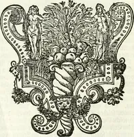 An illustration from Die Fackel des Prometheus : künstliches Lust-Feuer, als beede kayserliche Mayestätten Leopold und Eleonora Magdalena Theresia, nach dero zu Passau gehaltenem hochzeitlichen Beylager zu Wienn eingezogen, vor dem Burg-Thor gehalten (1677)