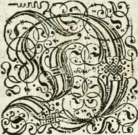 An illustration from Die Fackel des Prometheus : künstliches Lust-Feuer, als beede kayserliche Mayestätten Leopold und Eleonora Magdalena Theresia, nach dero zu Passau gehaltenem hochzeitlichen Beylager zu Wienn eingezogen, vor dem Burg-Thor gehalten (1677)