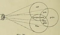 Picture 8 of 8 from Die Farbenlehre (1918), leaf 140