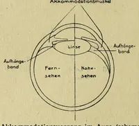 Picture 2 of 8 from Die Farbenlehre (1918), leaf 38