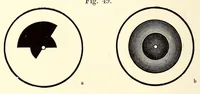 An illustration from Die Farbenlehre im hinblick auf Kunst und Kunstgewerbe (1874)