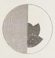 An illustration from Die Farbenlehre im hinblick auf Kunst und Kunstgewerbe (1874)