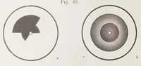 An illustration from Die Farbenlehre im hinblick auf Kunst und Kunstgewerbe (1874)