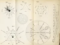 An illustration from Die Farbenwelt : ein neuer Versuch zur Erklärung der Entstehung und der Natur der Farben, nebst einer praktischen Anleitung zur Auffindung gesetzmässiger harmonischer Farbenverbindungen (1883)