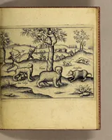 An illustration from Die fünffte kurtze wunderbare Beschreibung, dess Goldreichen Königreichs Guianae in America oder neuen Welt, vnter der Linea Aequinoctiali gelegen: so neulich Anno 1594. 1595. vnd 1596. von dem wolgebornen Herrn, Herrn Walthero Ralegh einem englischen Ritter, besucht worden: : erstlich auss befehl seiner Gnaden in zweyen Büchlein beschrieben, darauss Jodocus Hondius, ein schöne Land Tafel, mit einer niderländischen Erklärung gemacht. Jetzt aber ins Hochteutsch gebracht, vnd auss vnterschiedlichen Authoribus erkläret (1603)
