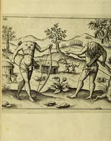 An illustration from Die fünffte kurtze wunderbare Beschreibung, dess Goldreichen Königreichs Guianae in America oder newen Welt, vnter der Linea Aequinoctiali gelegen: so neulich Anno 1594. 1595. vnd 1596. von dem wolgebornen Herrn, Herrn Walthero Ralegh einem englischen Ritter, besucht worden: : erstlich auss befehl seiner Gnaden in zweyen Büchlein beschrieben, darauss Jodocus Hondius, eine schöne Landt Tafel, mit einer niderländischen Erklärung gemacht. Jetzt aber ins Hochteutsch gebracht, vnd auss vnterschiedlichen Authoribus erkläret (1612)