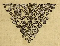 An illustration from Die fünff vnd zweyntzigste Schifffahrt, nach dem Königreich Chili in West-Indien, verrichtet durch Herrn Heinrich Brawern, vnd Herrn Elias Herckemann, im Jahr 1642, vnnd 1643. : Sambt einer Beschreibung der zweyen Insulen Formosa vnd Japan. Mit zugehörigen Kupffer-Taffeln (1649)