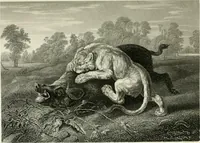 An illustration from Die Gallerien von München : eine Stahlstichsammlung der vorsüglichsten Gemälde der Königl. Pinakothek, der Herzogl. Leuchtenberg'schen und Schleissheimer Gallerien (1856)