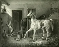 An illustration from Die Gallerien von München : eine Stahlstichsammlung der vorsüglichsten Gemälde der Königl. Pinakothek, der Herzogl. Leuchtenberg'schen und Schleissheimer Gallerien (1856)