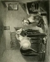 An illustration from Die Gallerien von München : eine Stahlstichsammlung der vorsüglichsten Gemälde der Königl. Pinakothek, der Herzogl. Leuchtenberg'schen und Schleissheimer Gallerien (1856)