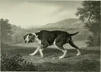 An illustration from Die Gallerien von München : eine Stahlstichsammlung der vorsüglichsten Gemälde der Königl. Pinakothek, der Herzogl. Leuchtenberg'schen und Schleissheimer Gallerien (1856)