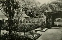 An illustration from Die Gartenkunst (1899)