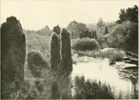 An illustration from Die Gartenkunst (1899)