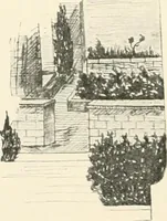 An illustration from Die Gartenkunst (1899)