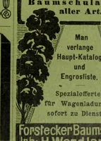 Picture 165 of 542 from Die Gartenkunst (1899), leaf 166