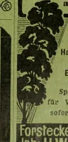 An illustration from Die Gartenkunst (1899)