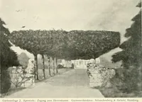 Picture 205 of 542 from Die Gartenkunst (1899), leaf 207