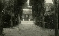 An illustration from Die Gartenkunst (1899)
