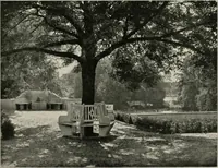 Picture 230 of 542 from Die Gartenkunst (1899), leaf 228