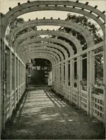 An illustration from Die Gartenkunst (1899)