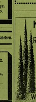 An illustration from Die Gartenkunst (1899)