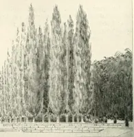 An illustration from Die Gartenkunst (1899)