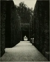 An illustration from Die Gartenkunst (1899)